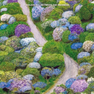 Between the Richness