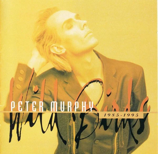 WILD BIRDS 1985-1995